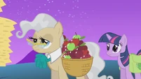 Tired Mayor and Twilight S1E11