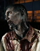 3A Walker 11