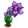 Mandrake-icon