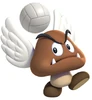 ParagoombaMASV