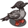 Brazilian Merganser-icon