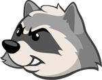 Raccoon