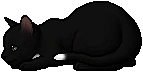 Ravenpaw.kit