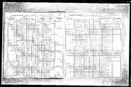 NewYorkStateCensus1915 449632754
