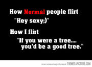 Funny-how-to-flirt-quote