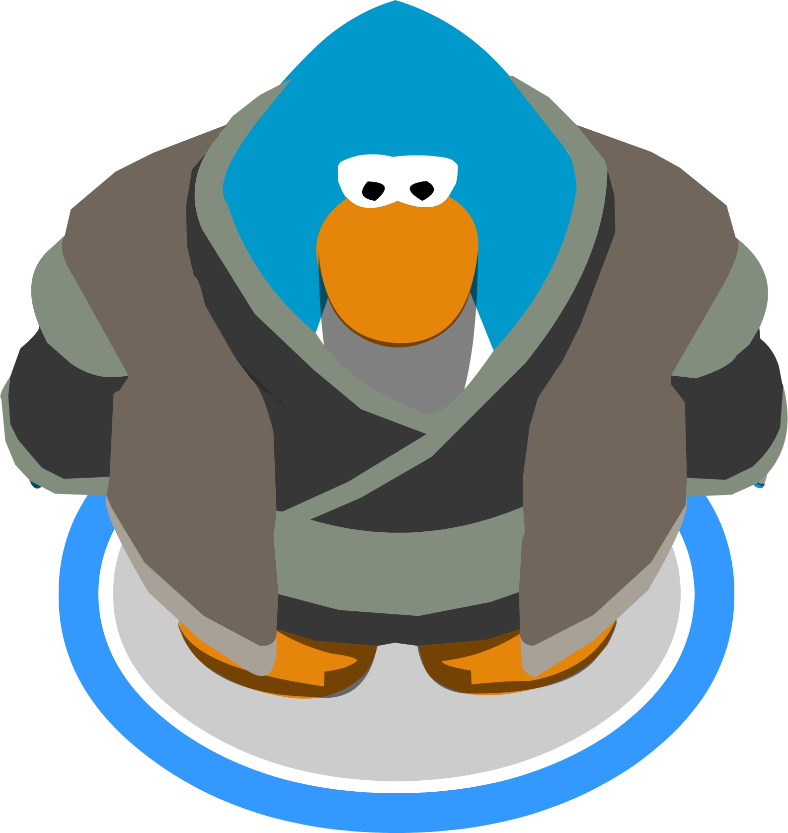 Mountain Robes ingame