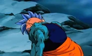 Majin boo vs los supremos kaiosamas2