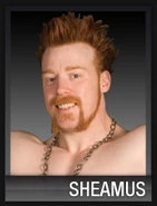 Sheamus20090901crawl