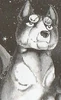 Gin24