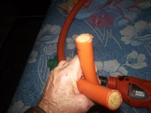 230