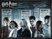 Orden23