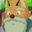 Pkmn Shimajio