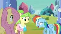 Rainbow Dash out of breath S03E12