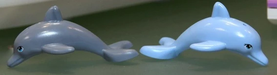 Dolphins