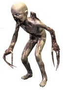 Pack-full-body