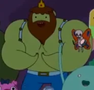 Principe Musculos