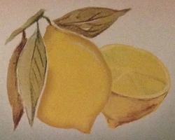 Lemon