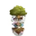 Yggdrasil Tree-icon
