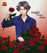 Insight
