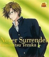 Never Surrender