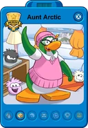 Aunt arctic 2013 playercard