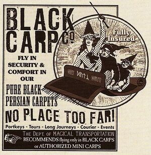 BlackCarpCo1
