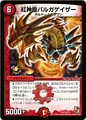 Dm-p13-y11