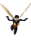 Wasp Marvel XP