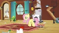 Fluttershy addresses the animals S03E13.png