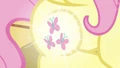 Fluttershy's cutie mark back to normal S03E13.png