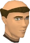 Mazion chathead.png