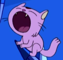 Kitten 2