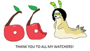 66Watchers