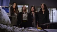 PLL319-00419