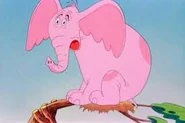 A elephant is faithful 100%