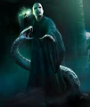 Voldemort-Nagini.jpg