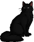 Reedwhisker.warrior