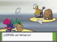 Refuerzo Pl