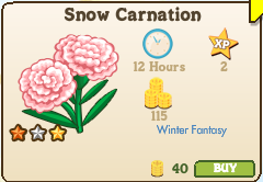Snow Carnation Market Info 2