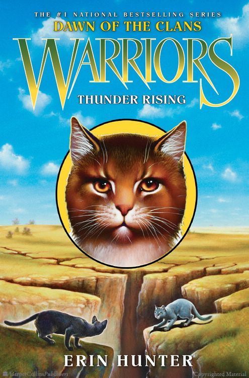 the lost warrior by erin hunter