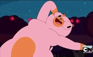 Cake Singing