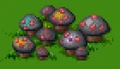 PoisonousMushroom.png