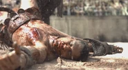 Crixus defeated S1E3