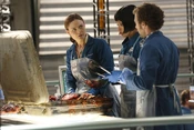 Bones 816