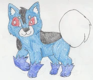 Huskimo