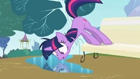 Twilight pushy2 S02E03
