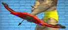 BowTech-EnhancedBow