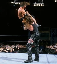 WrestleMania 17.25