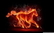 Fire Horse