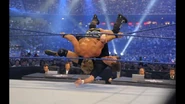 WrestleMania 25.17